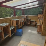 Pension féline cachettes en terrasse