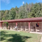 Pension canine jardin de promenade