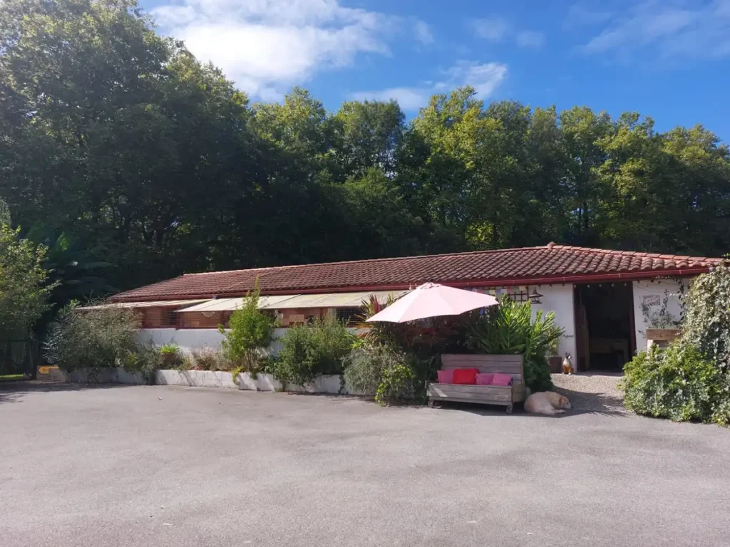 La colo des 4 pattes Mouguerre