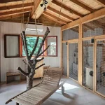 Pension féline aire de jeux et box