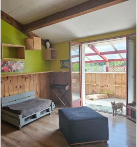 Pension féline aire de repos intérieur