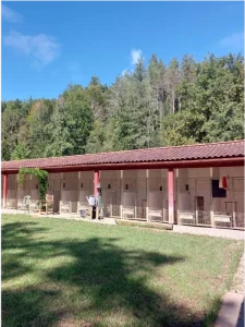 Pension canine jardin de promenade