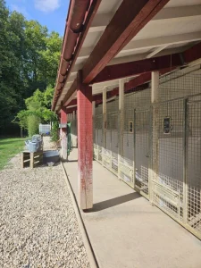 Pension canine box coté jardin